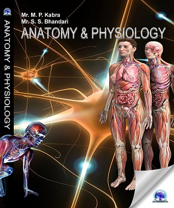 anatomy & physiology (2)-ts1461414910